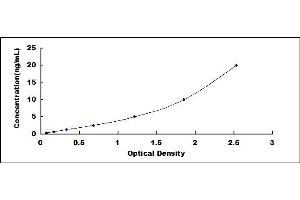 Typical standard curve (Androgen Receptor Kit ELISA)