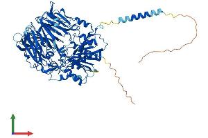 AlphaFold protein structure predicition of Mouse Recombinant Dpp6 Protein, UniprotID Q9Z218