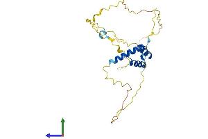 AlphaFold protein structure predicition of Mouse Recombinant Hhex Protein, UniprotID P43120