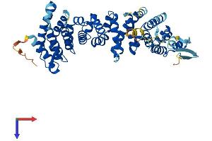AlphaFold protein structure predicition of Mouse Recombinant Atxn10 Protein, UniprotID P28658