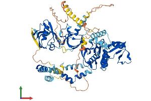 AlphaFold protein structure predicition of Mouse Recombinant Pals1 Protein, UniprotID Q9JLB2