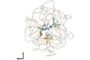 AlphaFold protein structure predicition of Human Recombinant MBD5 Protein, UniprotID Q9P267