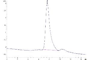 The purity of Biotunylated Human BCMA Trimer is greater than 95 % as determined by SEC-HPLC.