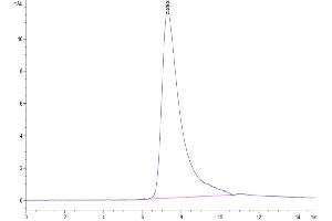 The purity of Human GFRAL is greater than 95 % as determined by SEC-HPLC.