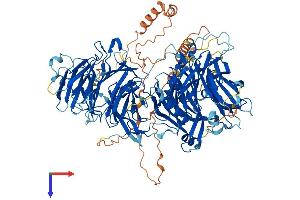 AlphaFold protein structure predicition of Human Recombinant LLGL1 Protein, UniprotID Q15334