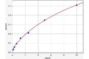 Slow Skeletal Troponin T (TNNT1) ELISA Kit
