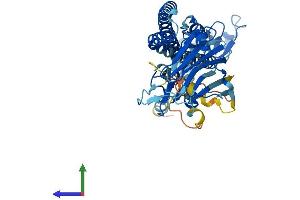AlphaFold protein structure predicition of Human Recombinant TRIM49B Protein, UniprotID A6NDI0