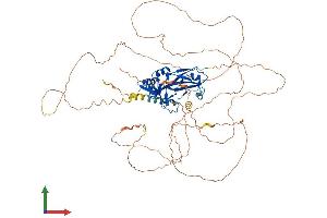 AlphaFold protein structure predicition of Human Recombinant TBX2 Protein, UniprotID Q13207
