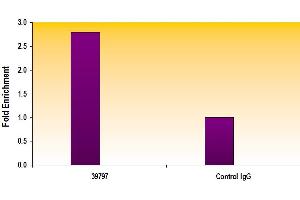 AIB1 antibody tested by ChIP analysis.