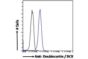 ABIN6391364 Flow cytometric analysis of paraformaldehyde fixed Kelly cells (blue line), permeabilized with 0.