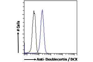 ABIN6391364 Flow cytometric analysis of paraformaldehyde fixed Kelly cells (blue line), permeabilized with 0. (Doublecortin anticorps  (AA 69-81))