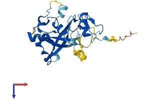 AlphaFold protein structure predicition of Human Recombinant ZMYND19 Protein, UniprotID Q96E35