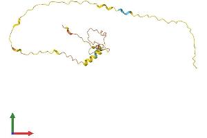 AlphaFold protein structure predicition of Human Recombinant MOBP Protein, UniprotID Q13875