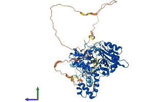 AlphaFold protein structure predicition of Human Recombinant POLL Protein, UniprotID Q9UGP5