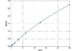 A typical standard curve