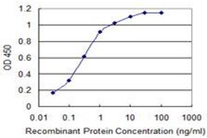 Detection limit for recombinant GST tagged CACNA1C is 0.
