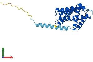 AlphaFold protein structure predicition of Mouse Recombinant Tnfaip8 Protein, UniprotID Q921Z5
