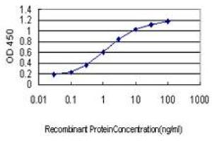 Detection limit for recombinant GST tagged KLF1 is approximately 0.