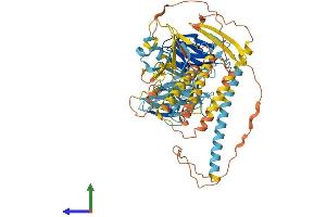 AlphaFold protein structure predicition of Mouse Recombinant Fancb Protein, UniprotID Q5XJY6