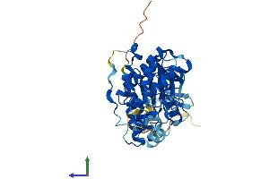 AlphaFold protein structure predicition of Human Recombinant MAPK12 Protein, UniprotID P53778