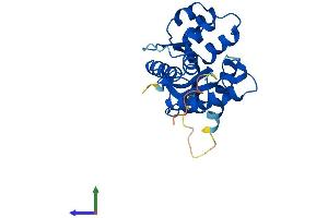 AlphaFold protein structure predicition of Mouse Recombinant Nmnat3 Protein, UniprotID Q99JR6