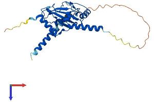 AlphaFold protein structure predicition of Human Recombinant UBE2J2 Protein, UniprotID Q8N2K1