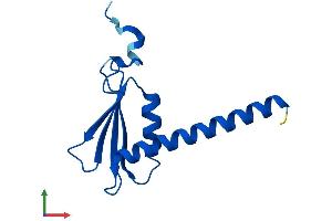 AlphaFold protein structure predicition of Human Recombinant POLR2J Protein, UniprotID P52435