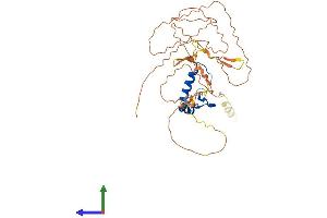 AlphaFold protein structure predicition of Mouse Recombinant Nfya Protein, UniprotID P23708