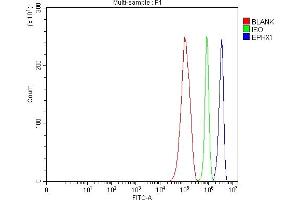Flow Cytometry analysis of RT4 cells using anti-Epoxide hydrolase/EPHX1 antibody (ABIN7601696).