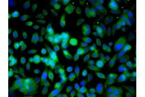 Image provided by One World Lab validation program.