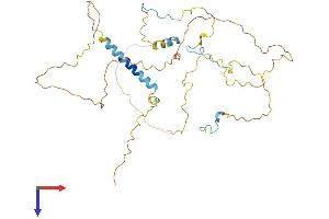 AlphaFold protein structure predicition of Mouse Recombinant Habp4 Protein, UniprotID Q9JKS5