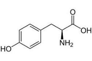 Tyrosinase (TYR) peptide (Ovalbumin)