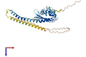 AlphaFold protein structure predicition of Human Recombinant TSPY2 Protein, UniprotID A6NKD2