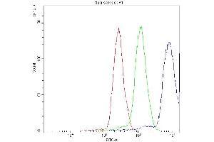 Flow Cytometry analysis of A431 cells using anti-NFAT4 antibody (ABIN5519045).