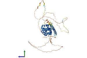 AlphaFold protein structure predicition of Human Recombinant BCL2L13 Protein, UniprotID Q9BXK5