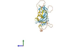 AlphaFold protein structure predicition of Human Recombinant NOXO1 Protein, UniprotID Q8NFA2