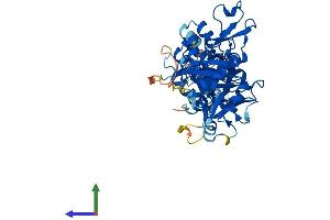 AlphaFold protein structure predicition of Mouse Recombinant Nudt12 Protein, UniprotID Q9DCN1