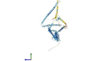 AlphaFold protein structure predicition of Mouse Recombinant Ccdc93 Protein, UniprotID Q7TQK5