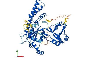 AlphaFold protein structure predicition of Mouse Recombinant Ola1 Protein, UniprotID Q9CZ30