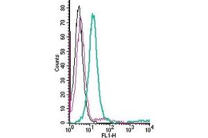 Cell surface detection of PTGIR by direct flow cytometry in live intact human Jurkat T-cell leukemia cells: + Rabbit IgG Isotype Control-FITC (ABIN7582044).