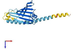 AlphaFold protein structure predicition of Mouse Recombinant Prelid3b Protein, UniprotID Q9CYY7