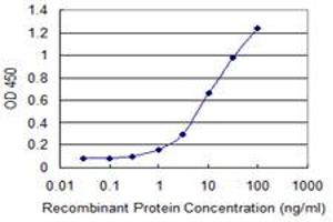 Detection limit for recombinant GST tagged CEL is 0. (Cholesterol Esterase anticorps  (AA 378-477))