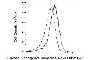 Validation of Glucose-6-phosphate isomerase knockdown using flow cytometry. (Recombinant GPI anticorps)