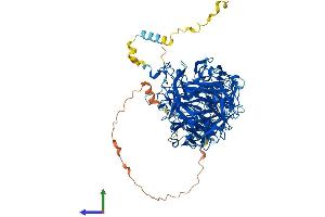 AlphaFold protein structure predicition of Human Recombinant CORO7 Protein, UniprotID P57737