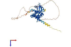 AlphaFold protein structure predicition of Human Recombinant MAGEA10 Protein, UniprotID P43363