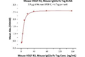Immobilized Human VEGF-C, His Tag (ABIN2444233,ABIN2181912) at 5 μg/mL (100 μL/well) can bind Mouse VEGF R3, Mouse IgG2a Fc Tag, low endotoxin (ABIN5954972,ABIN6809972) with a linear range of 1-10 ng/mL (QC tested).