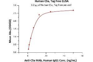 Immobilized Human C5a, Tag Free (ABIN2180666,ABIN2180665) at 2 μg/mL (100 μL/well) can bind Anti-C5a MAb, Human IgG1 with a linear range of 0.