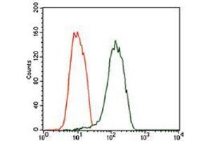 Flow cytometric analysis of SK-N-SH cells using NEFM mouse mAb (green) and negative control (red).