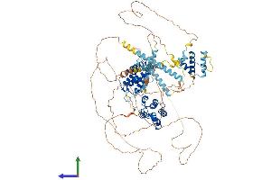 AlphaFold protein structure predicition of Human Recombinant BRDT Protein, UniprotID Q58F21