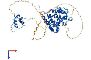 AlphaFold protein structure predicition of Human Recombinant HNF4A Protein, UniprotID P41235